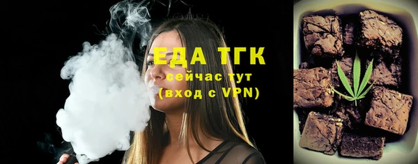 амф Верхний Тагил