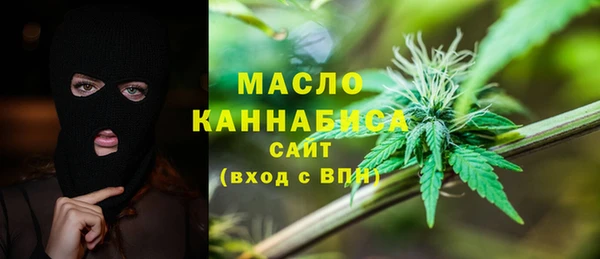 амф Верхний Тагил