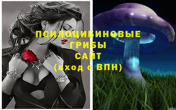 амф Верхний Тагил