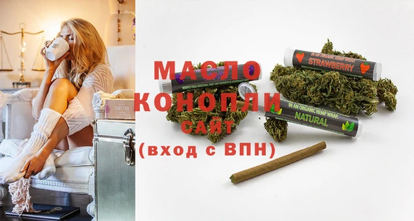 стаф Кулебаки