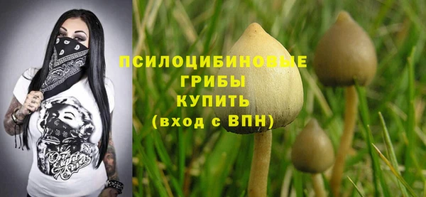 ALPHA-PVP Верея