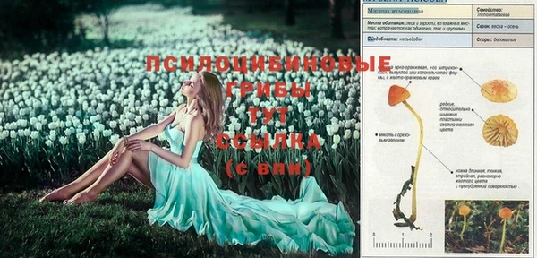 амф Верхний Тагил