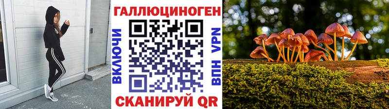Галлюциногенные грибы Magic Shrooms  мега ссылка  Кедровый 