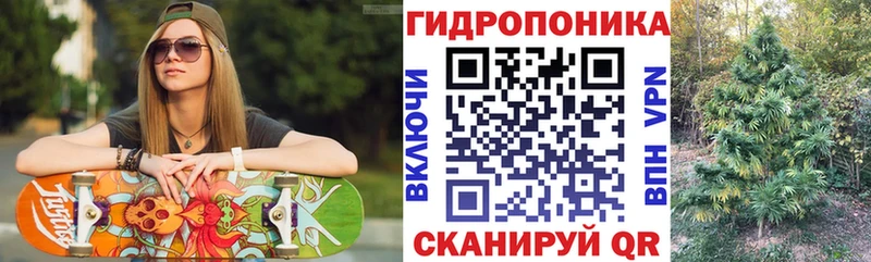 Конопля ГИДРОПОН  Кедровый 
